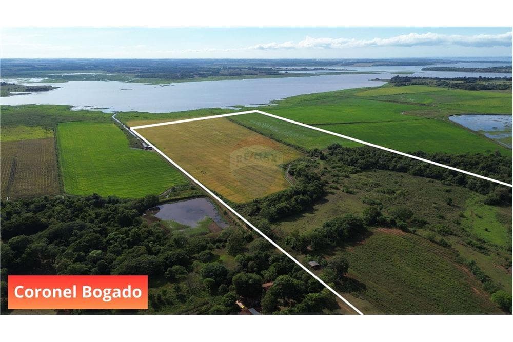 Espectacular Campo a la Venta de 34 Has – Coronel Bogado, foto 2