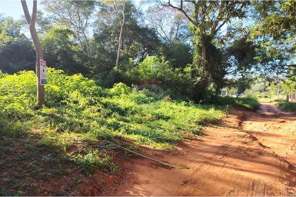 Terreno en Luque zona Ita Angua y Tarumandy, foto 5