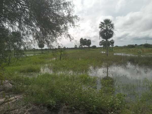 Vendo estancia – alto paraguay, fortín florida