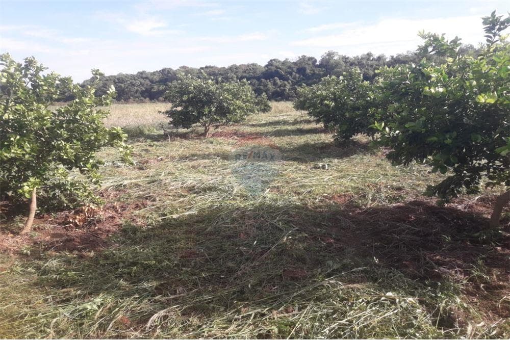 Vento Campo de 87 has en San Juan Nepomuceno, foto 2