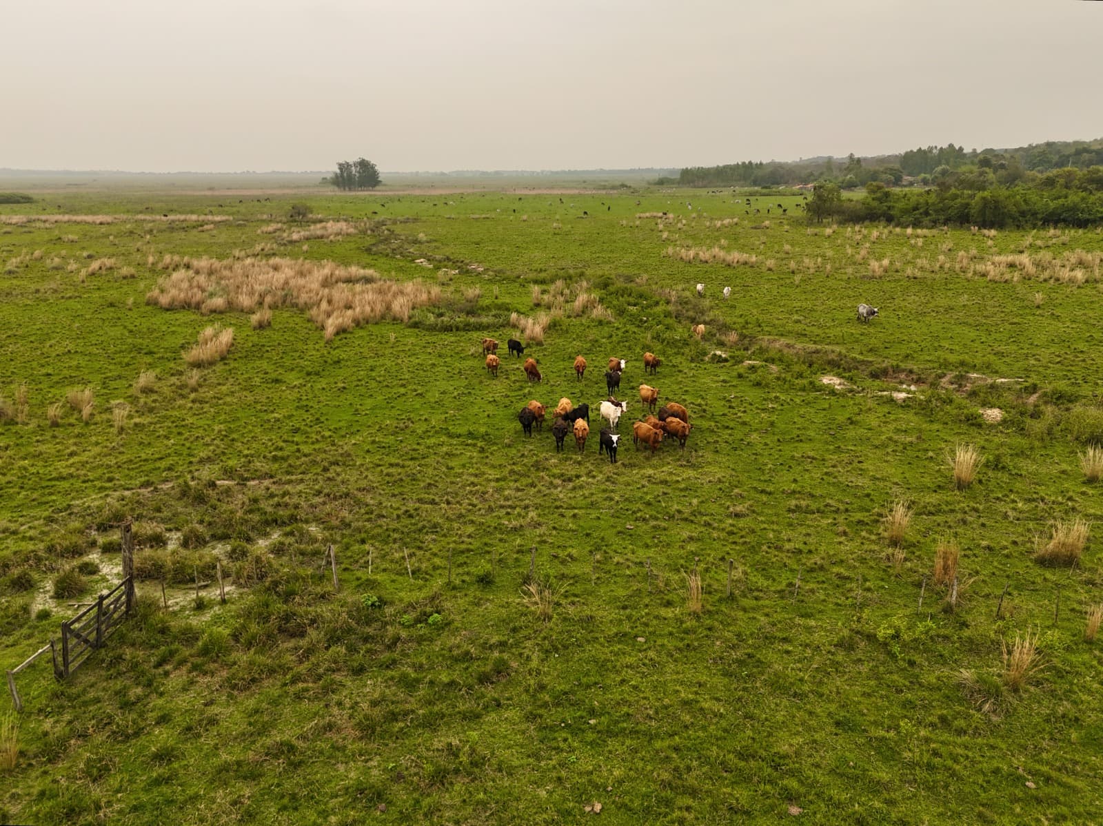 Estancia con 86 hectareas en caraguatay, foto 2