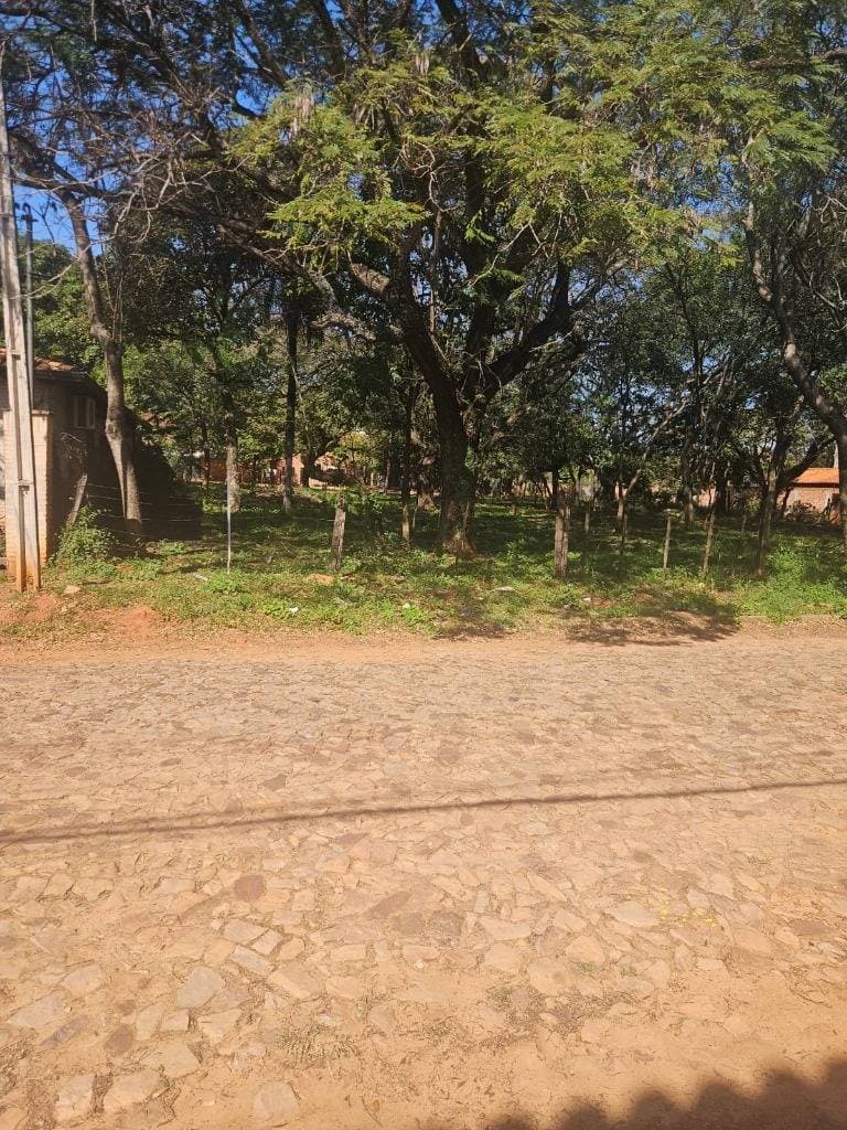 terreno en Luque loma merlo, foto 4