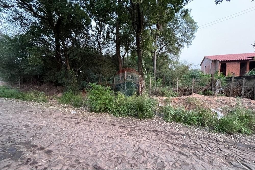 Terreno Ideal en Luque — foto 2