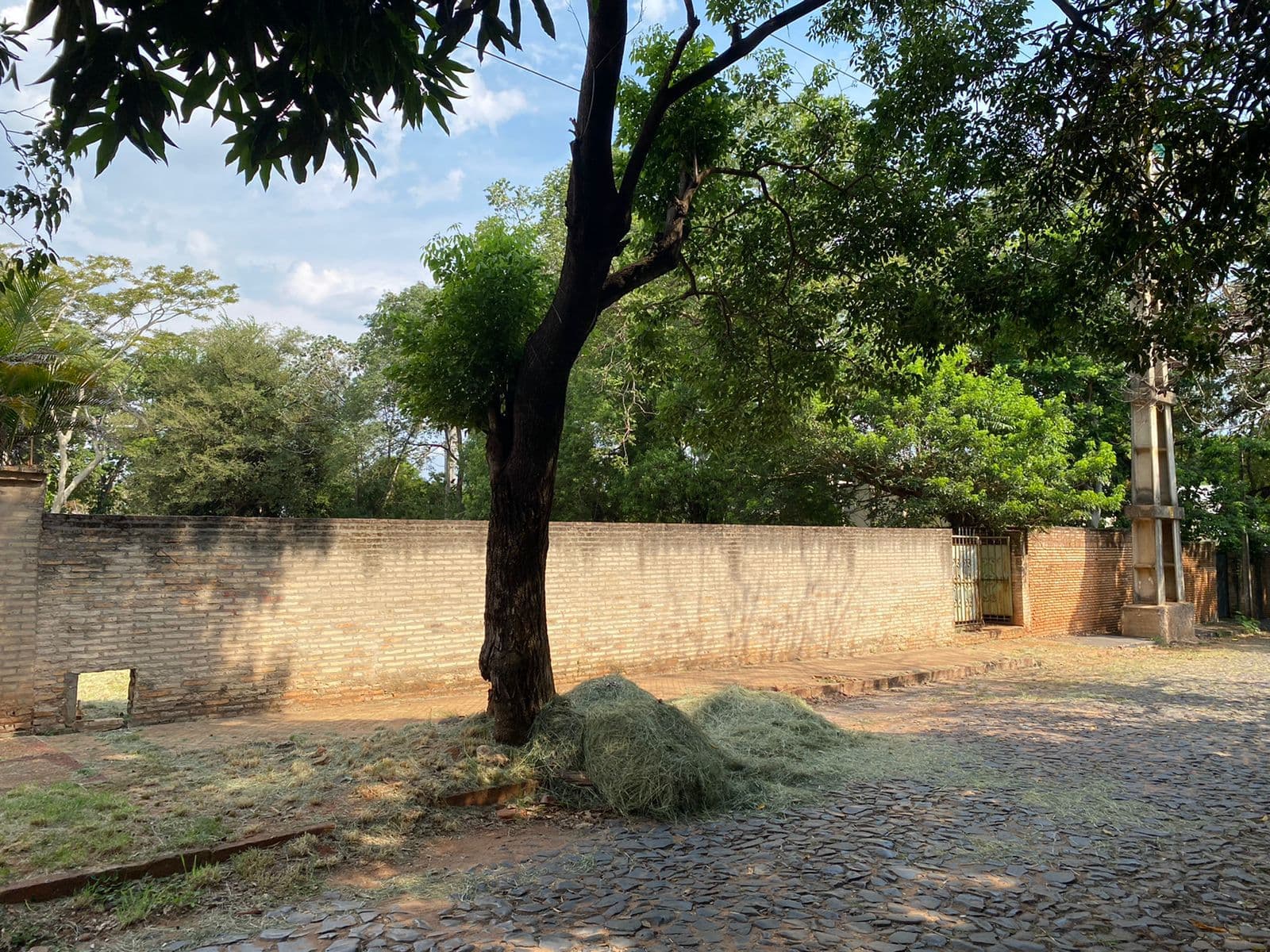 Amplio terreno en zona residencial del barrio san cristobal, foto 3