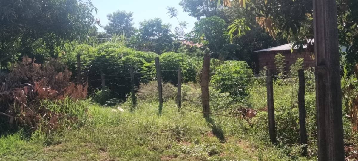 Terreno titulado en areguá – zona gobernación, foto 3