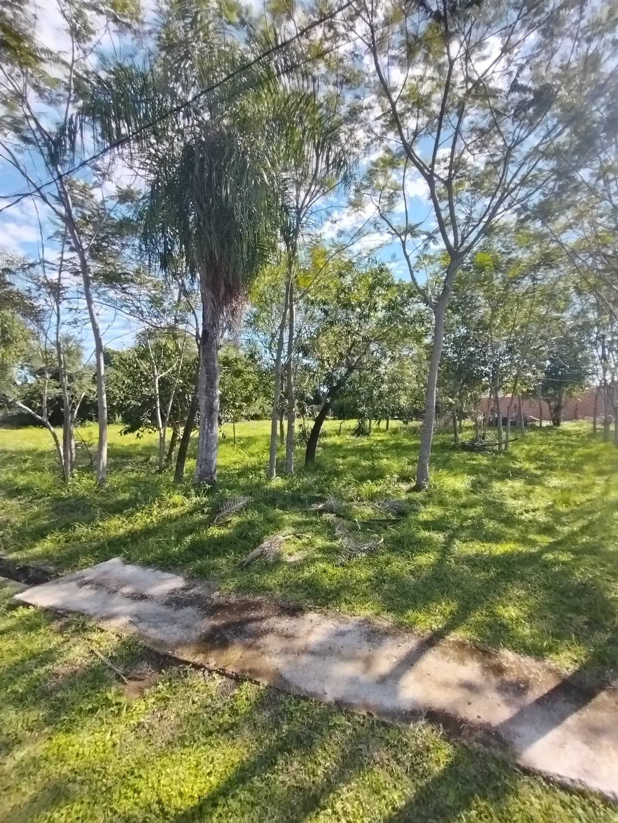 Hermoso Terreno en Ecos del Lago – Areguá, foto 3
