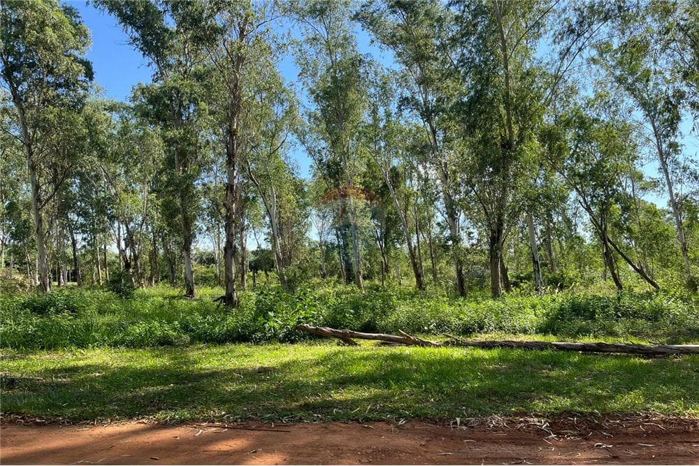 Terreno - Venta - San Bernardino, Paraguay, foto 5