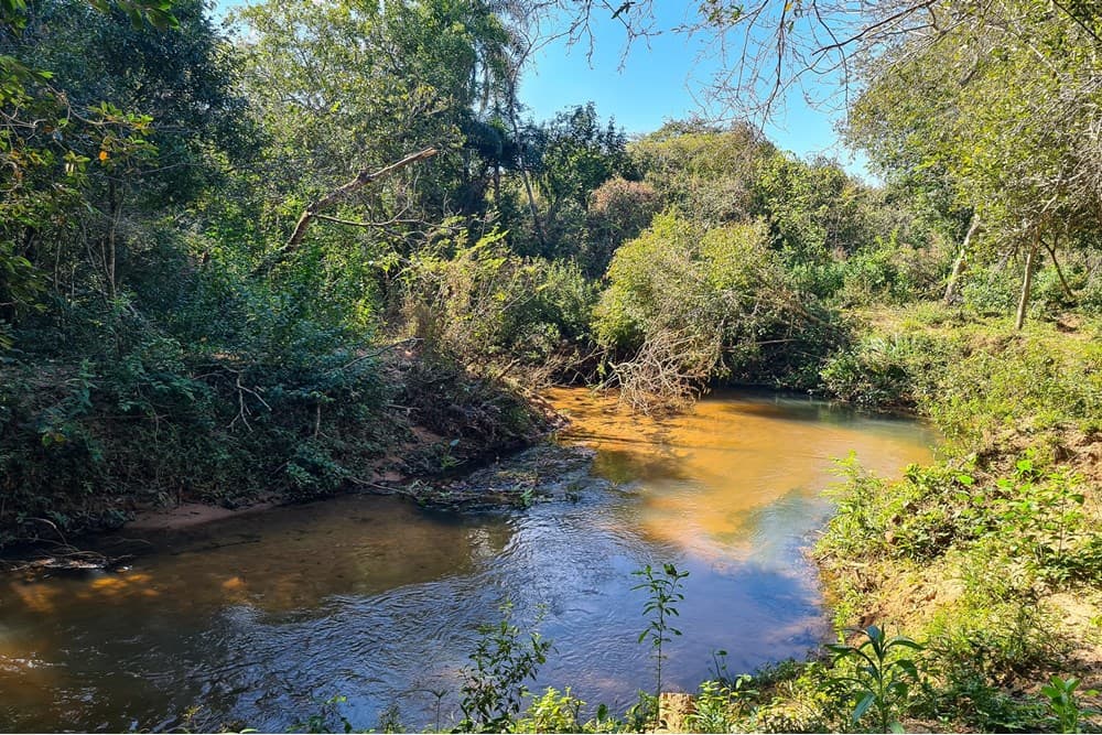 Terreno - Venta - Eusebio Ayala, Paraguay, foto 4