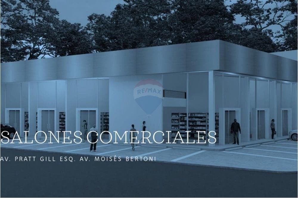 Salon comercial - pratt gill y m. Bertoni, foto 1