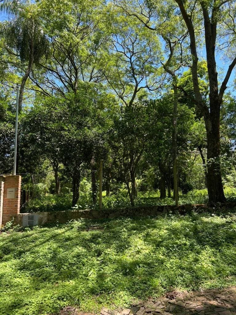 de Terreno en San Bernardino, Cordillera, foto 2