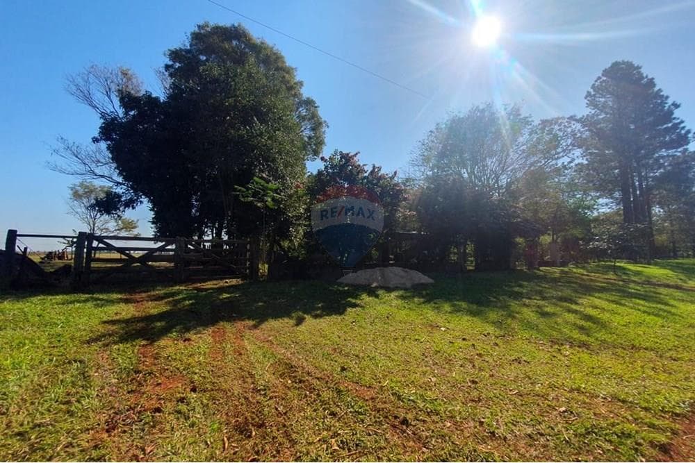 Granja formada en colonia nueva fortuna, foto 3