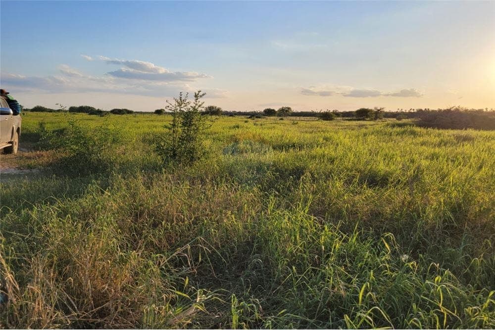 Vendo estancia sobre ruta 12 en presidente hayes 493 hectareas