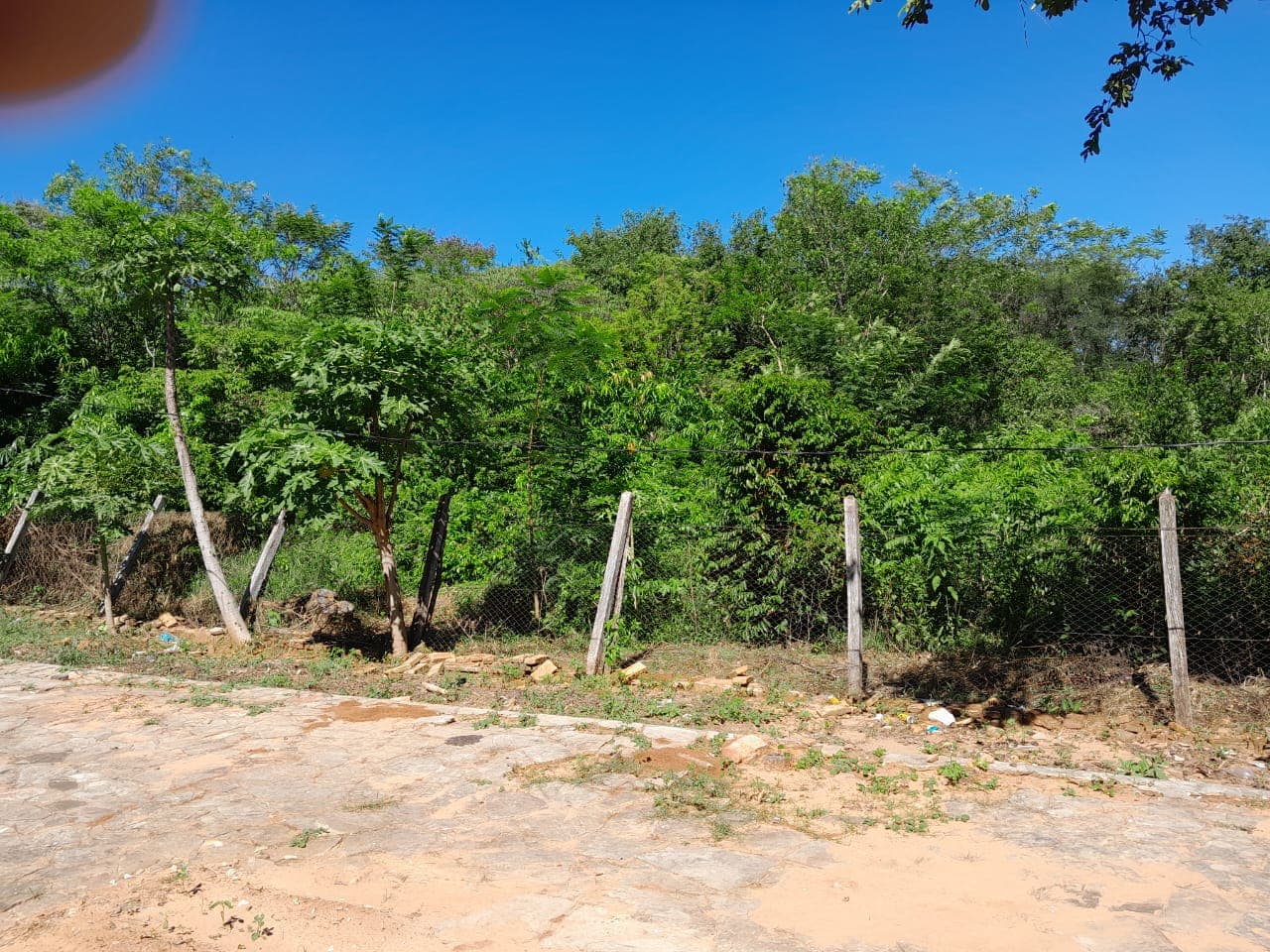 27 has en arroyyo y estero, foto 4