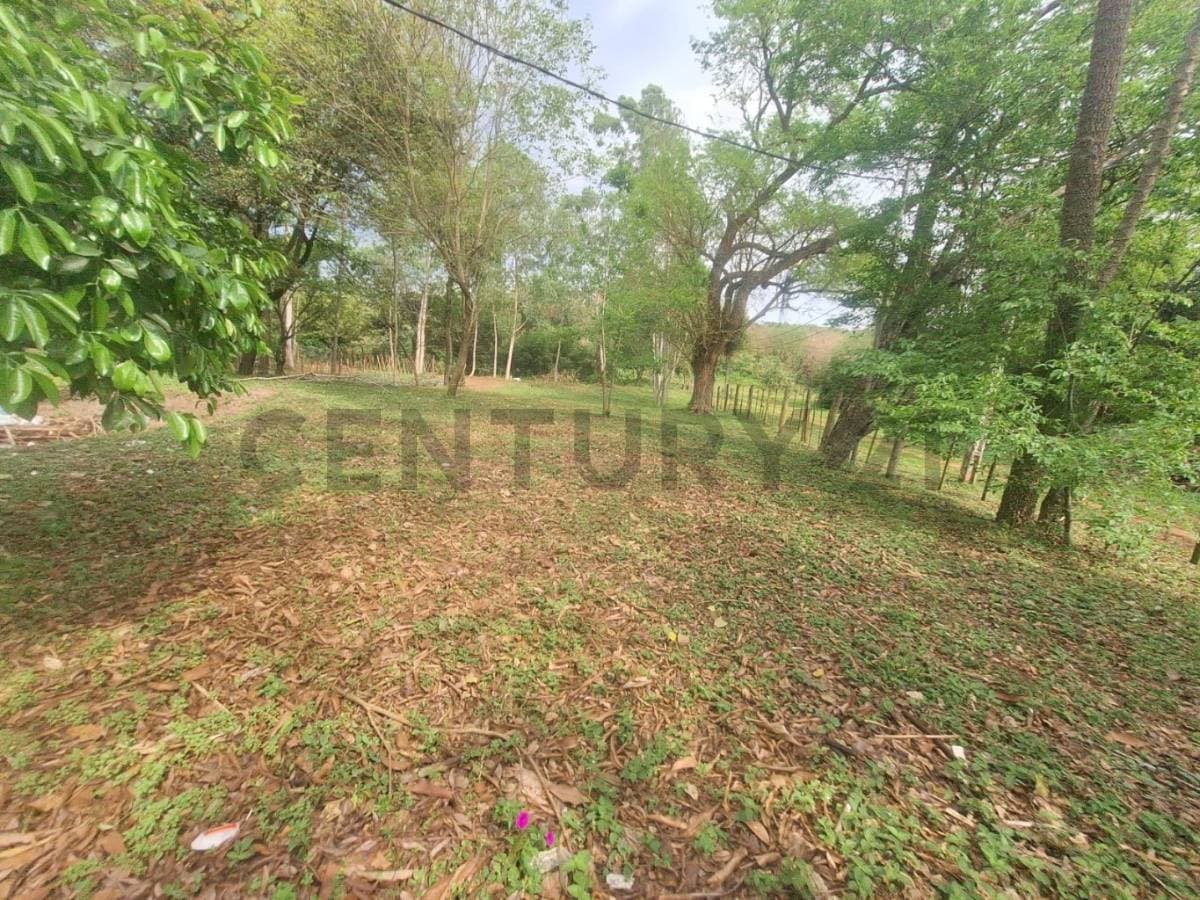 Hermoso terreno con arroyo caacupe , Caacupé, Cordillera, foto 5