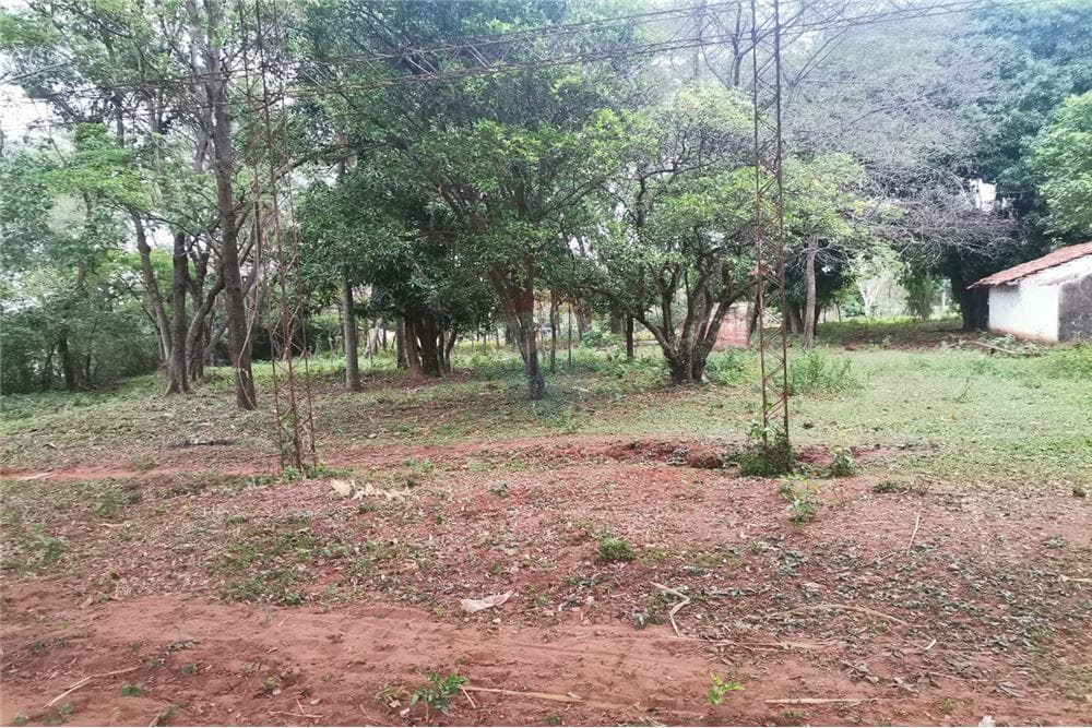 Terreno de 4 Hectareas en oferta, foto 3