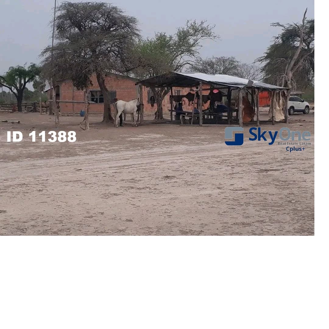 Estancia en alto paraguay-fortin florida, 1500has, foto 2