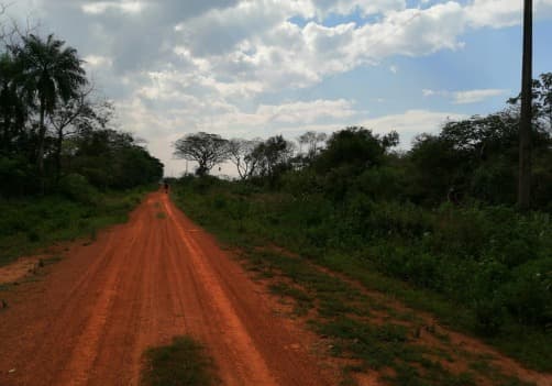 17.5 hectareas en Cnel. Bogado, Itapúa! Excelente precio!, foto 3