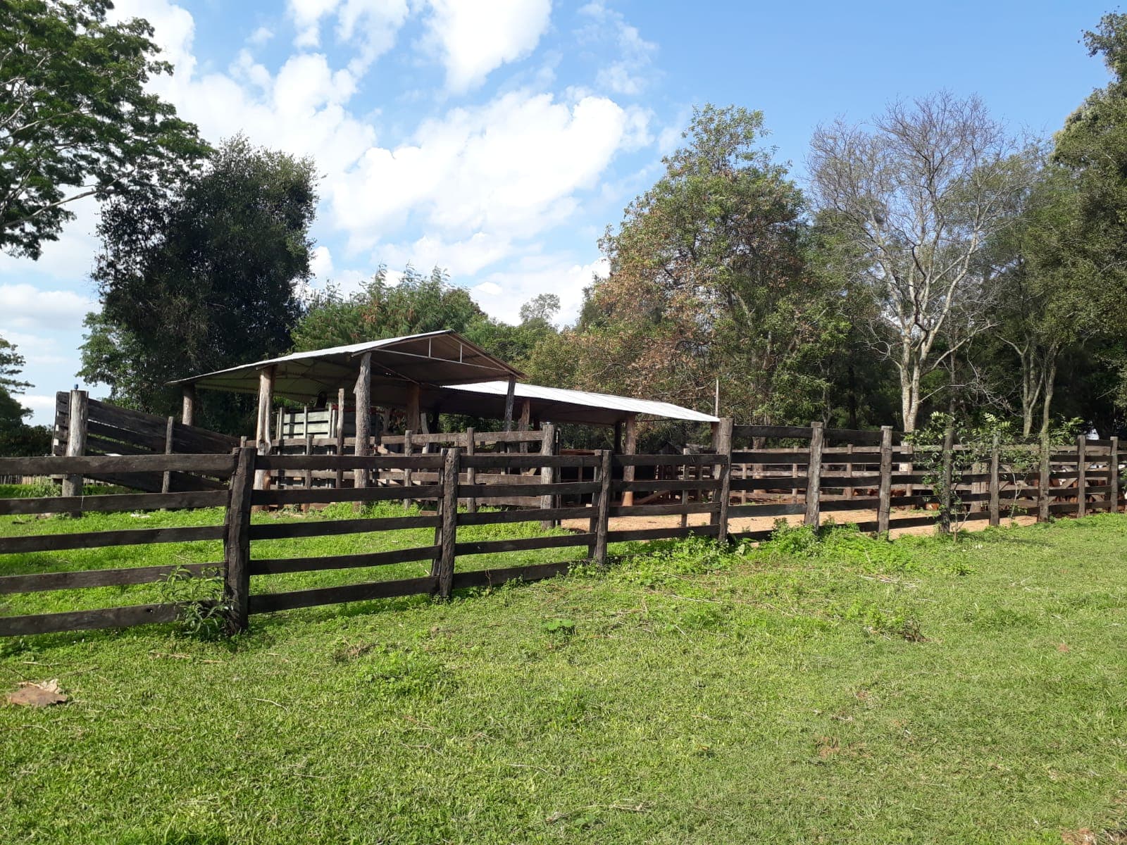 De 200 hectareas en r.i. 3 corrales caaguazu, foto 1