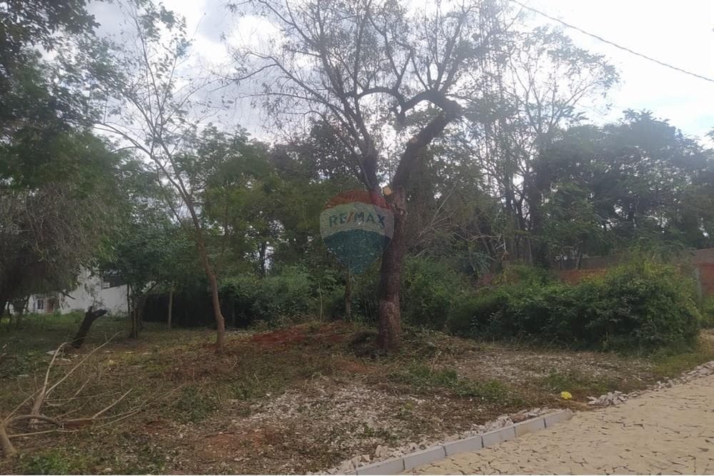 En Venta Terreno Luque, foto 4