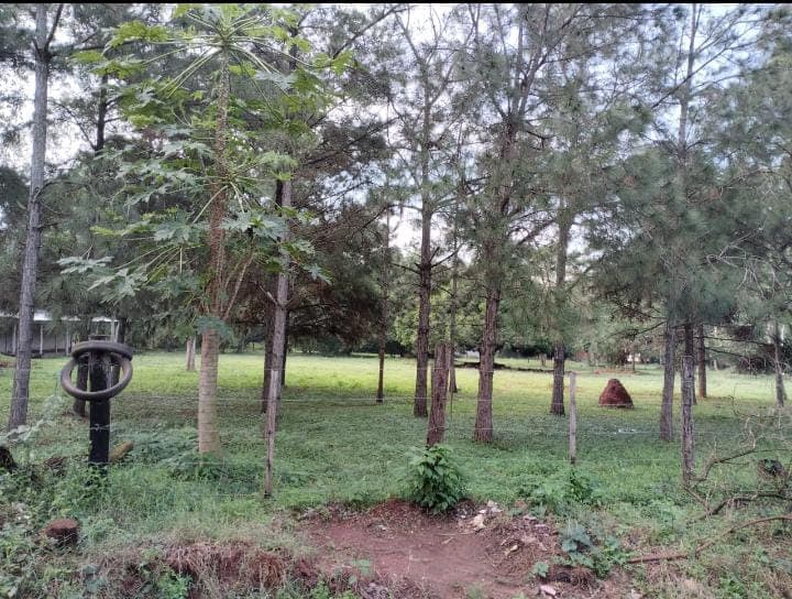Vendo terreno en zona palacio de justicia de Luque