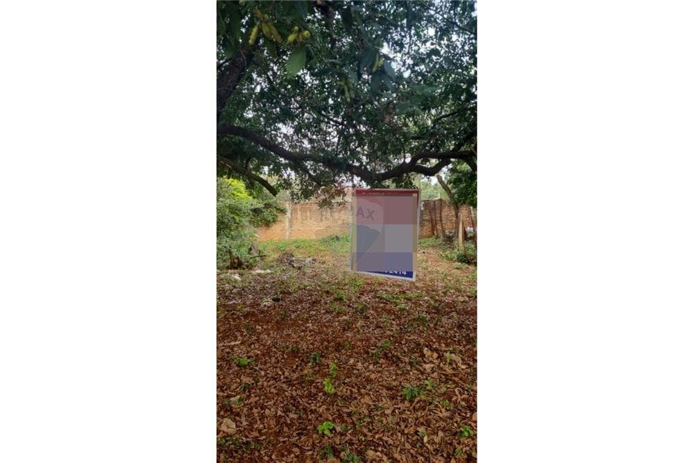 Terreno en Villa Elisa B° Mbokajaty, foto 3