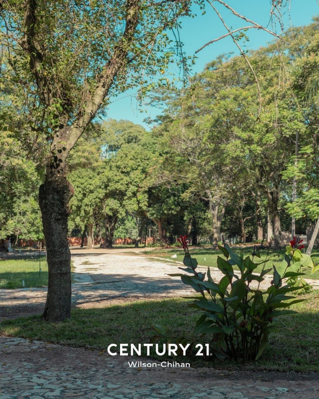Terreno en San Bernardino — foto 3