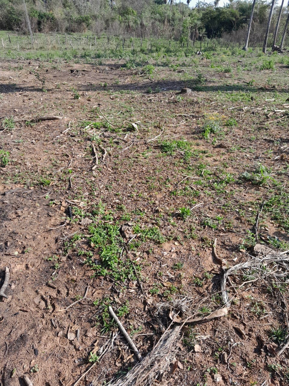 propiedad de 2 hectáreas en Atyra Ideal para granja, foto 4