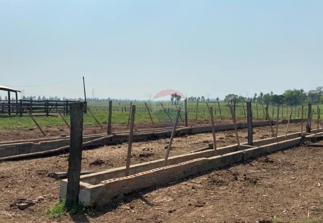 124 HECTAREAS EN TOBATI | Propiedad rural, foto 5