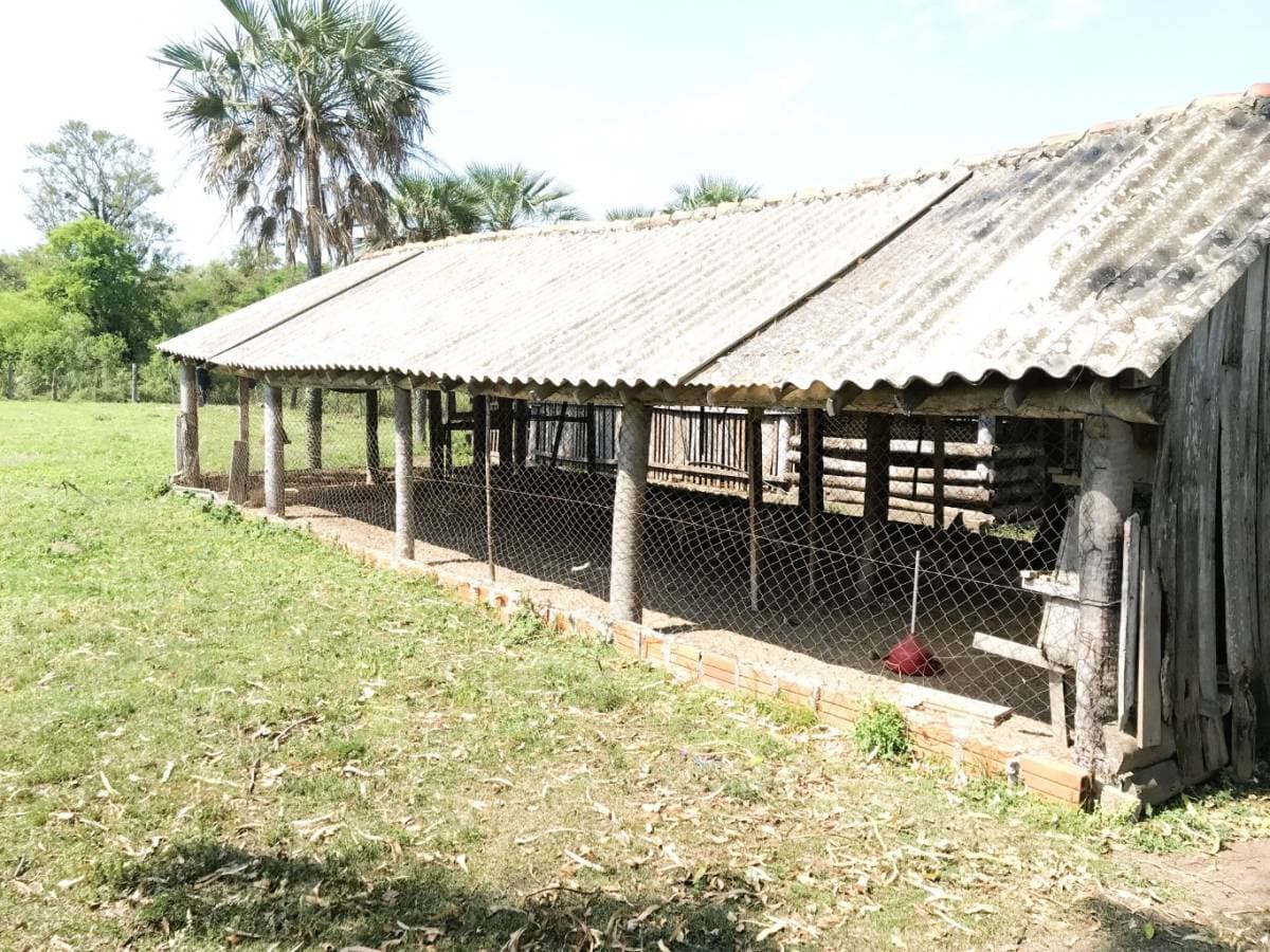 Oportunidad Única en Villeta – Granja en Venta, foto 4