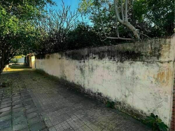 Unica esquina en los laureles 1158 m2, foto 2