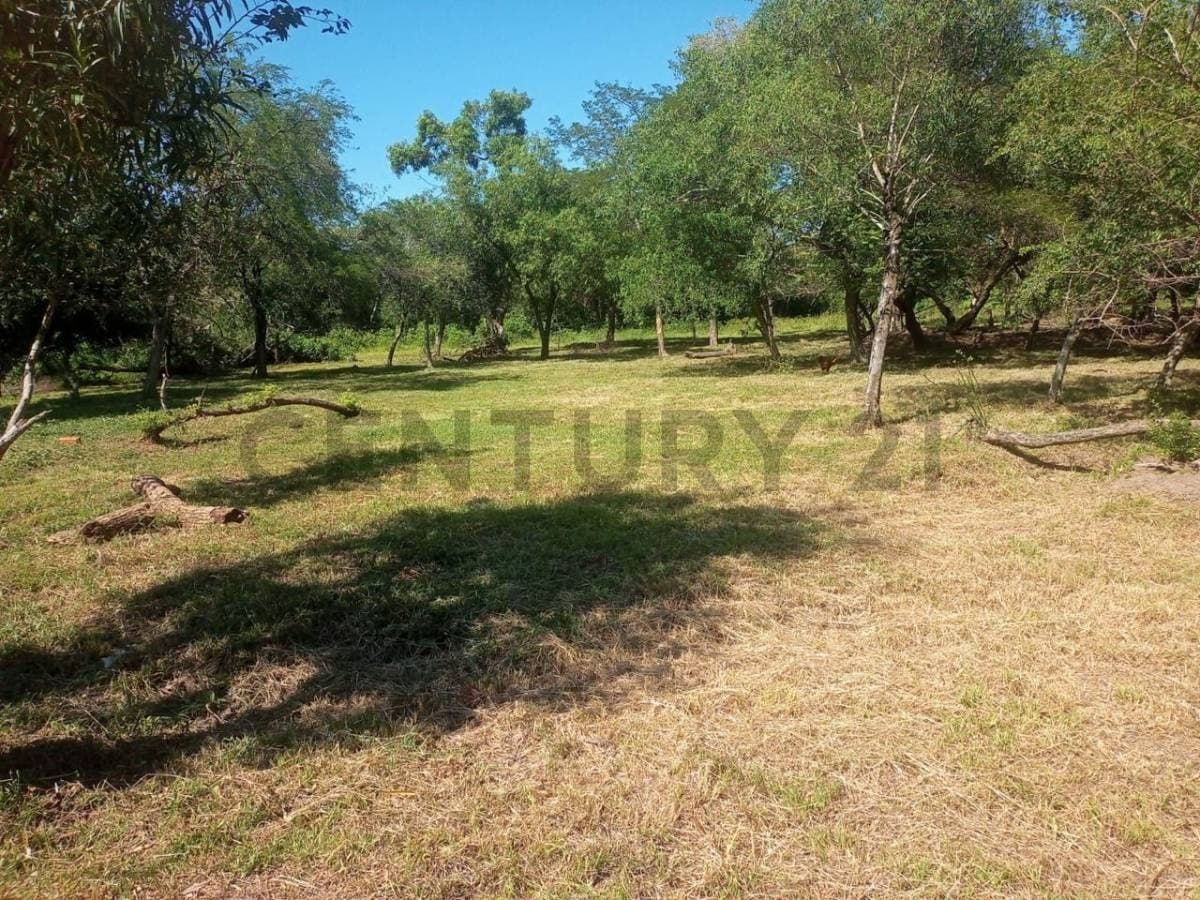 Terreno en San Bernardino- Fraccion ciervo cua- zona Heriberta Matiauda, foto 4