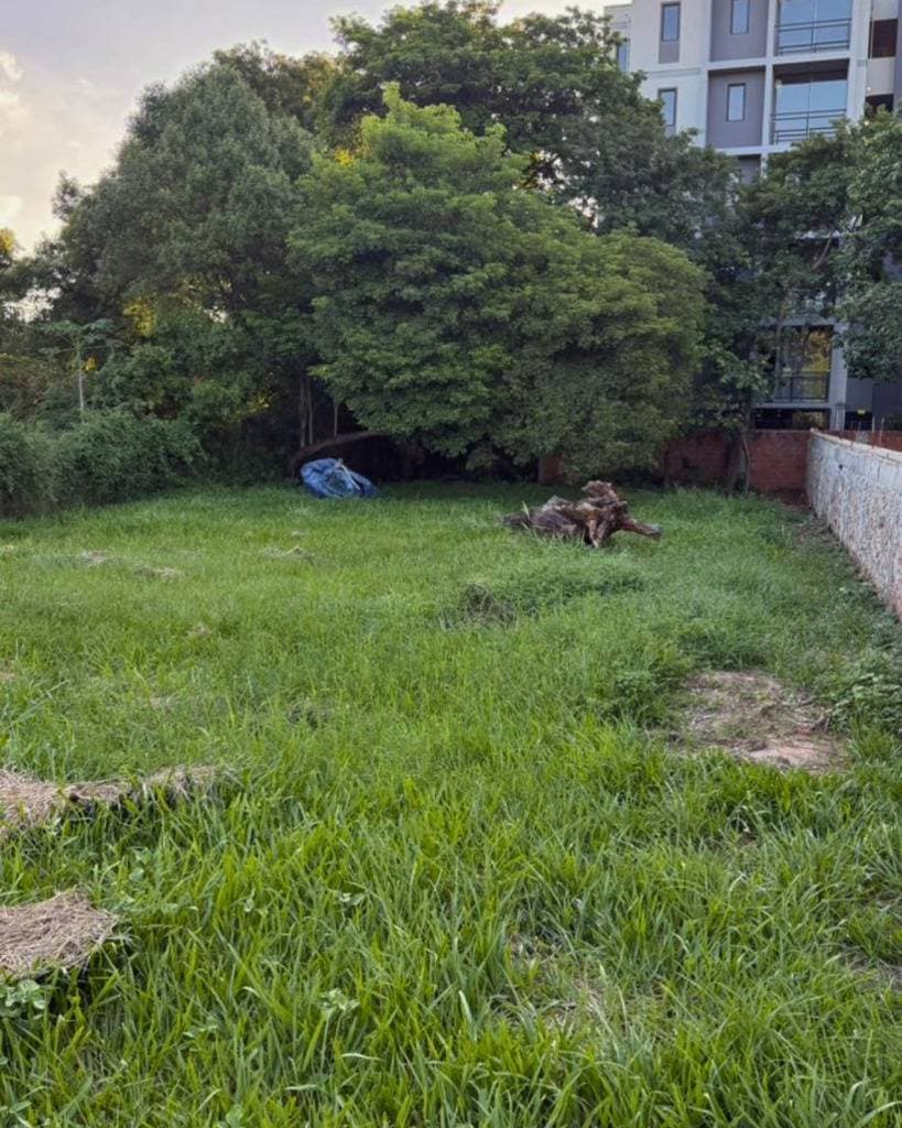 Terreno en venta en Luque, foto 2