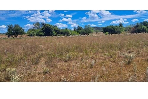 Terrenos en Venta en Ubicación Estratégica Pirayú, foto 1