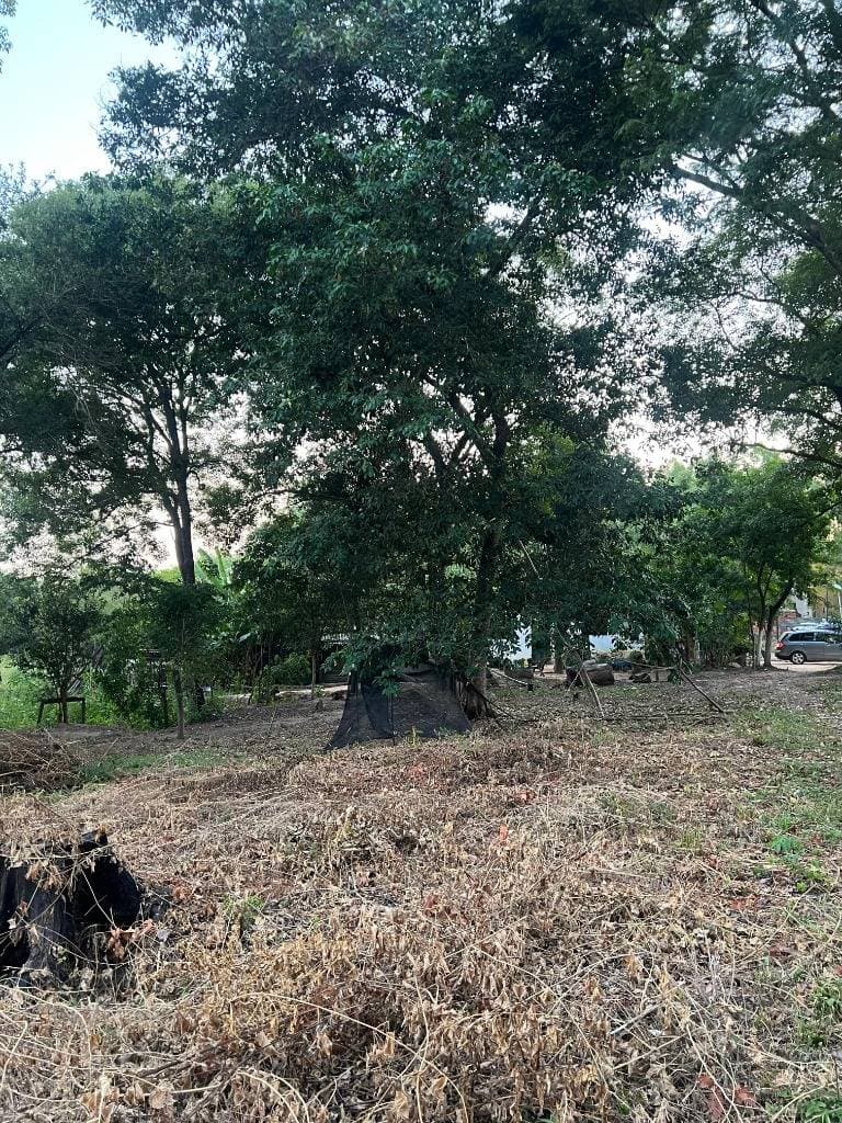 Este terreno en Luque, Barrio Isla Bogado, puede ser para vos . ID 48518, foto 4