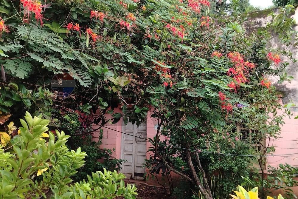 Casa a refaccionar o demoler San Lorenzo, foto 2
