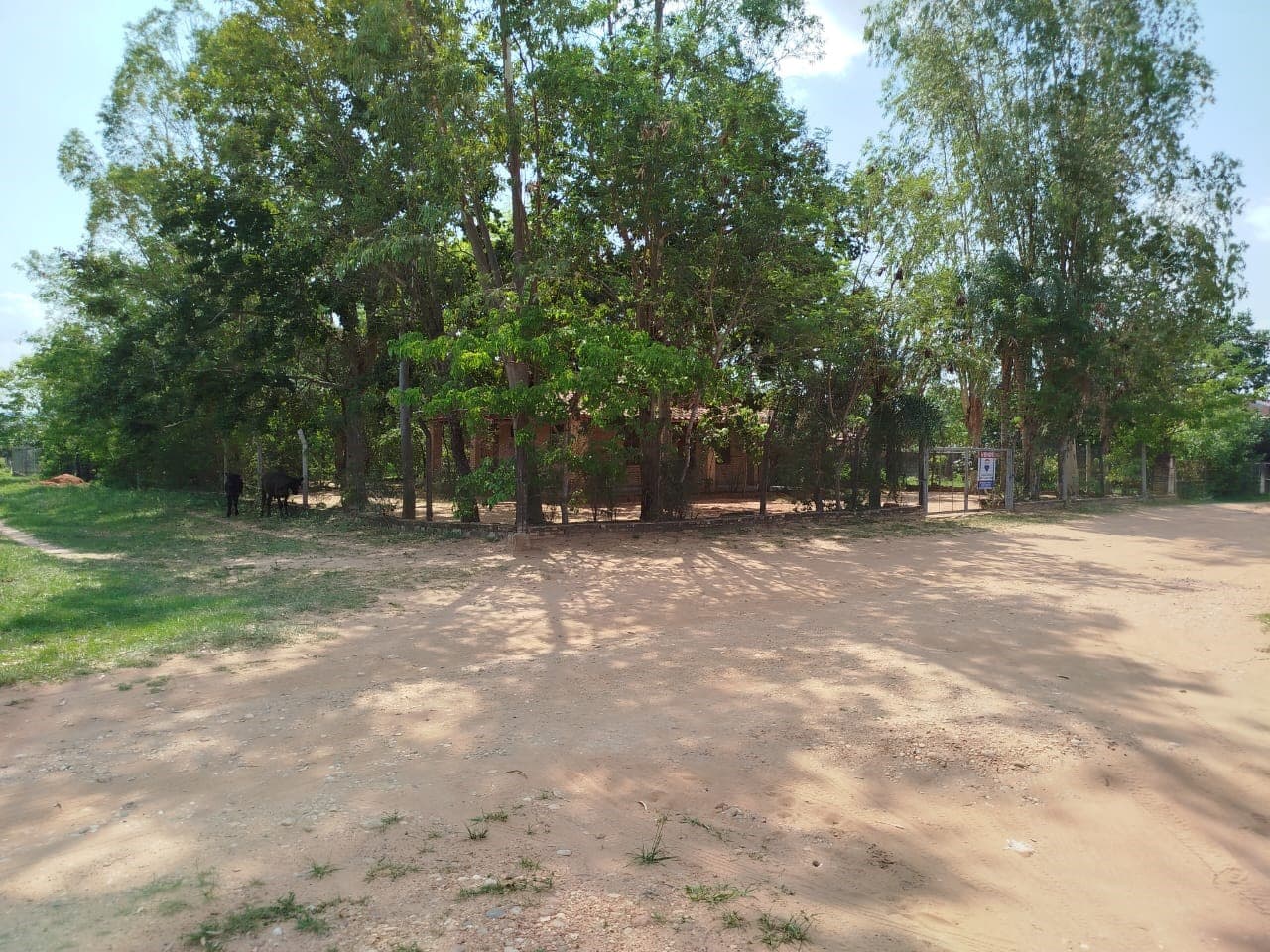 Terreno-Venta-Paraguay Central Ypacaraí Pedrozo Sub-Urbano, foto 3