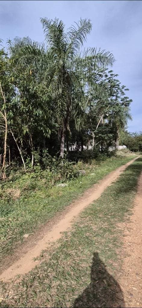 Venta de 2 terrenos juntos en San Bernardino – Barrio Ciervo Cuá