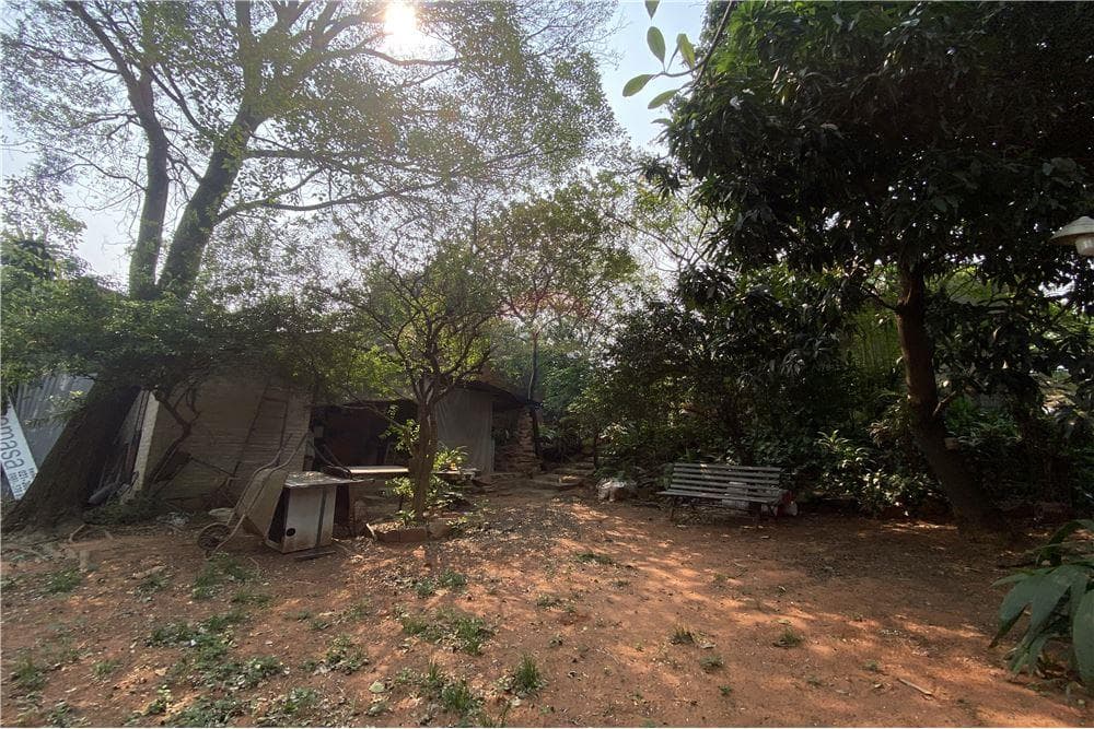 Amplio terreno en zona bruno guggiari — foto 4
