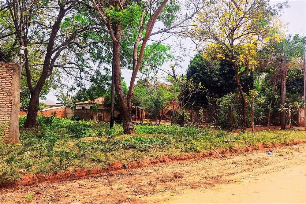 Terreno amplio en Luque mora kue, foto 5
