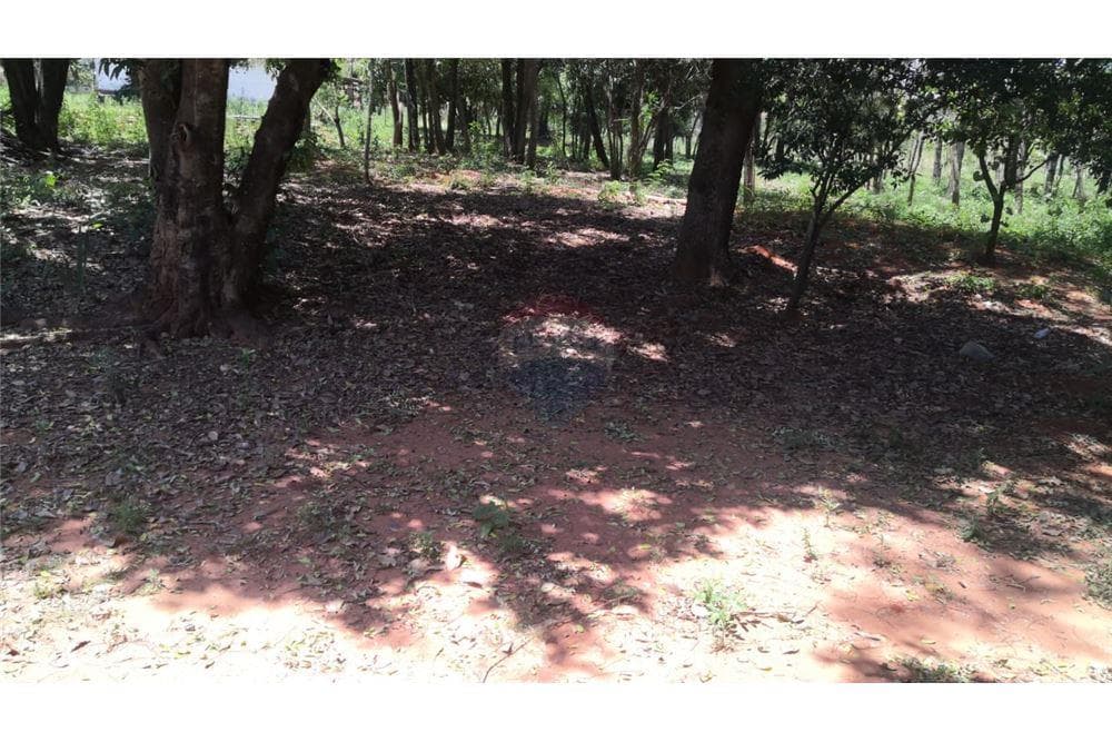 Terreno - venta - aregua