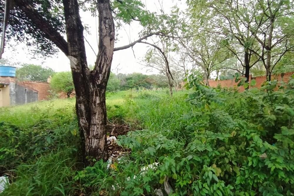 Terreno - Venta - Paraguay Central San Lorenzo, foto 2