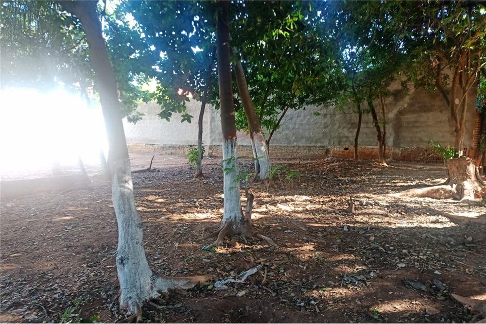 Imperdible oportunidad de tener tu terreno en lambare, foto 4