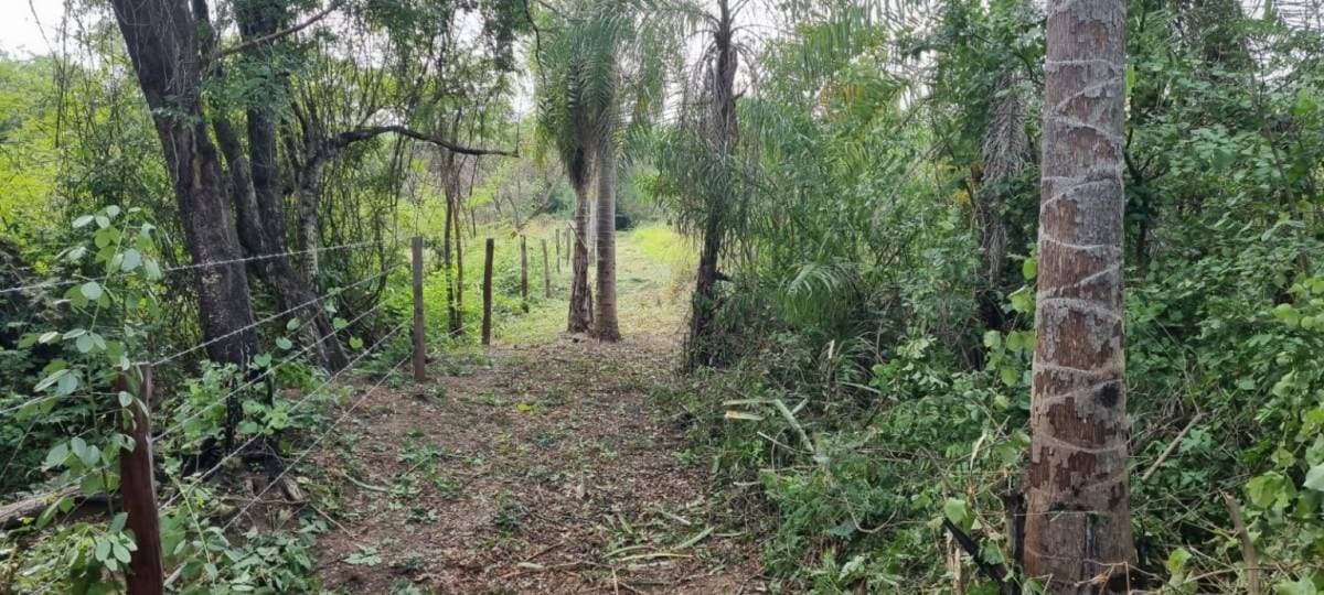 Terreno en San Bernardino ideal para desarrollo — foto 2