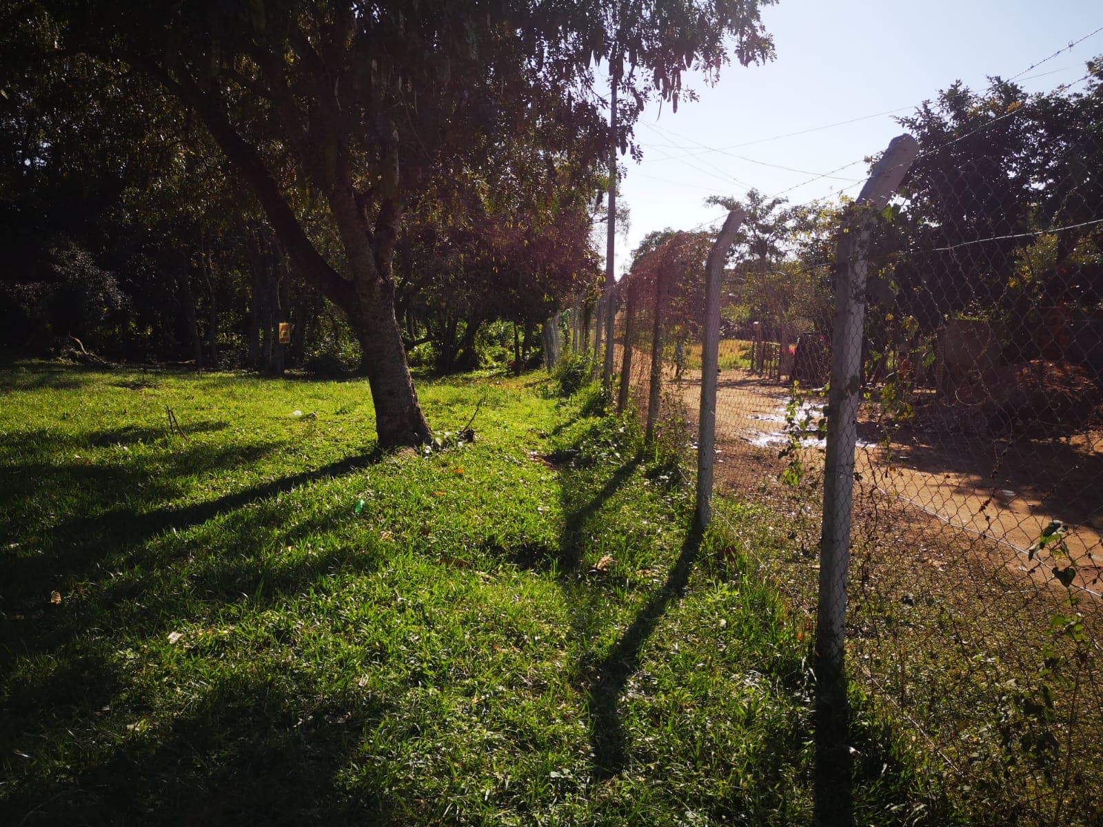 Terreno de 10.000 m2 con Tinglado en San Lorenzo-CLLA5405566, foto 2
