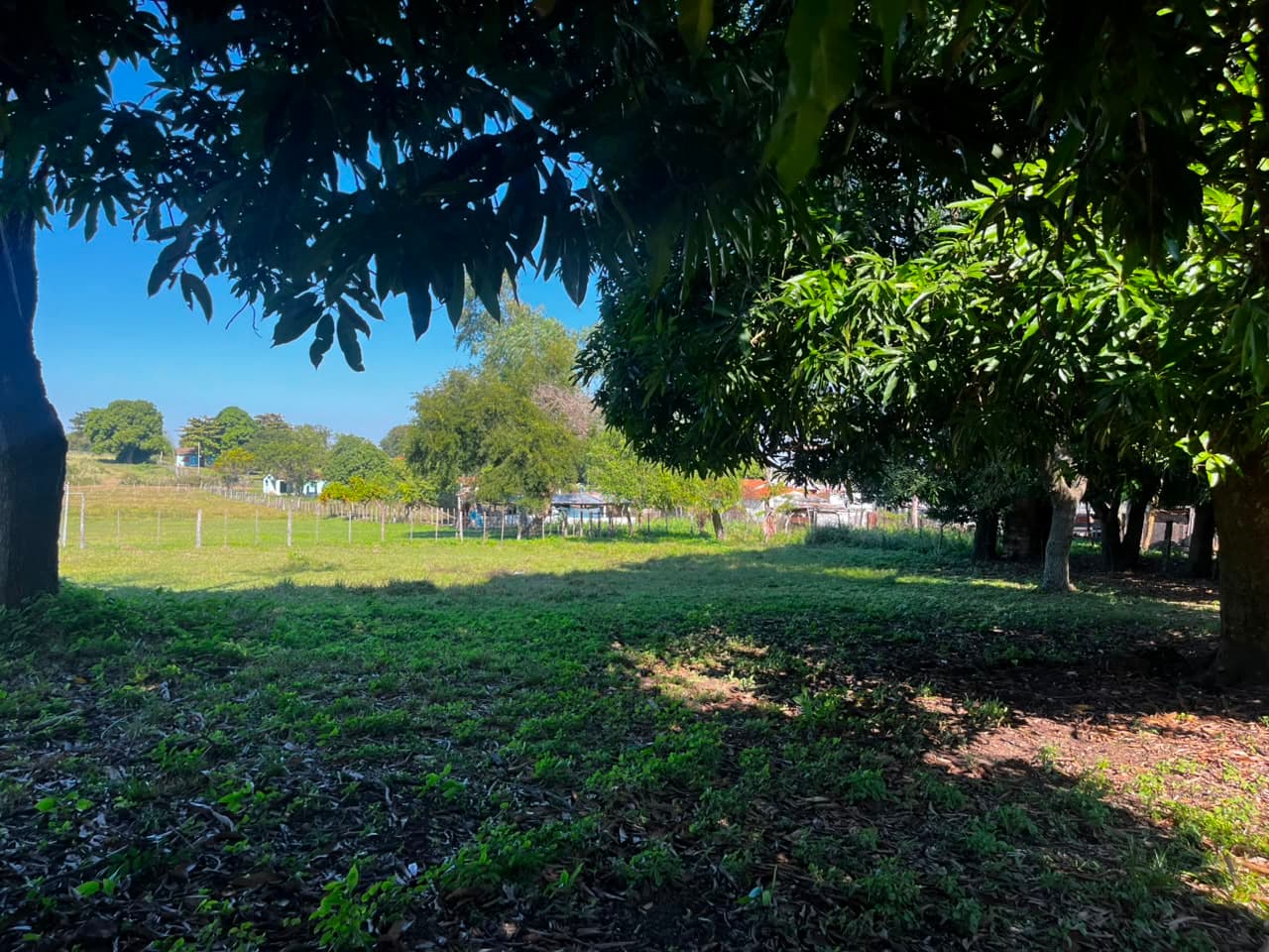 Terreno en venta de 1424 m2 sobre asfalto en Nueva Italia, foto 3