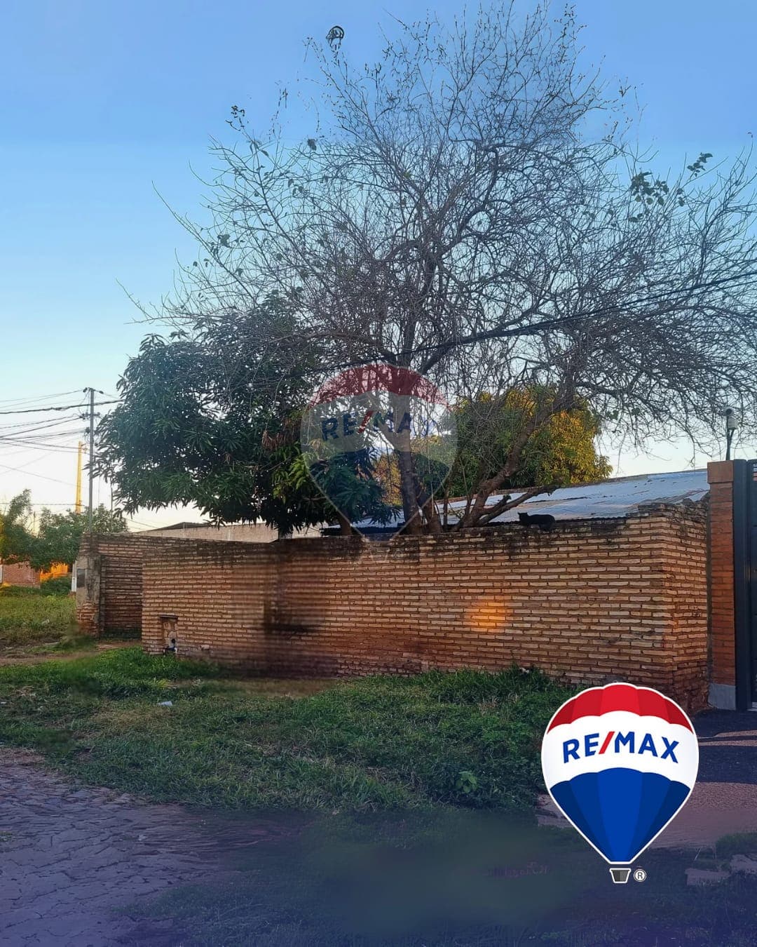 terreno en Lambare, foto 4