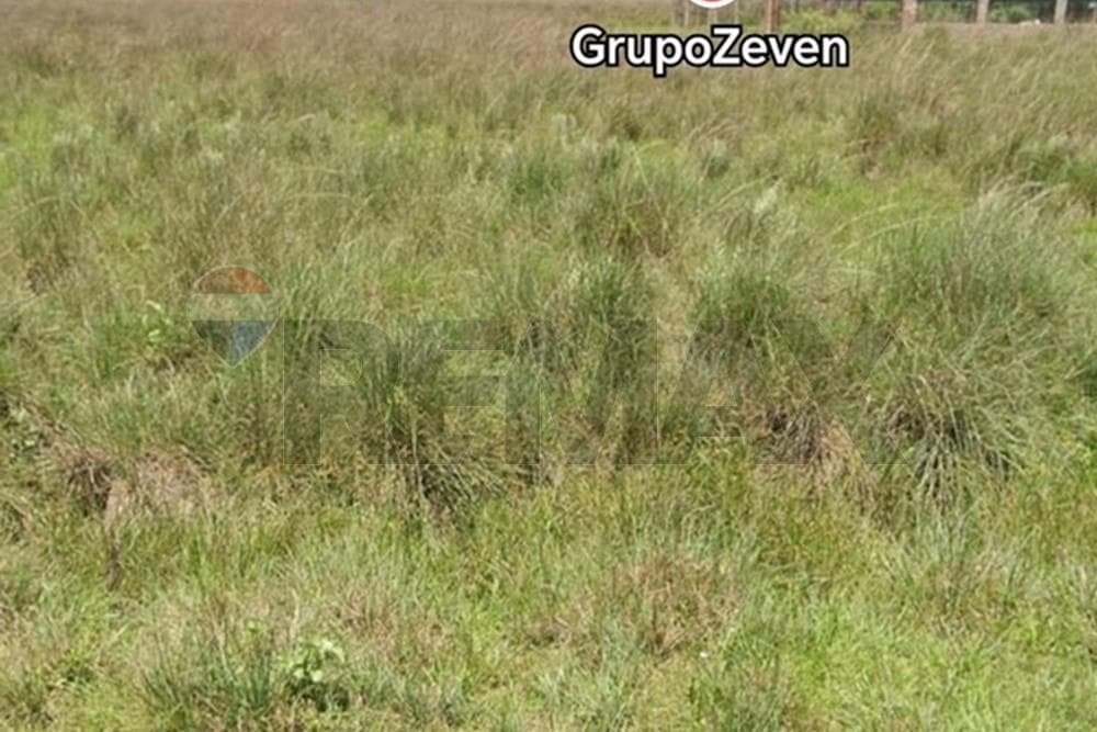 Terreno residencial en nueva colombia, foto 1