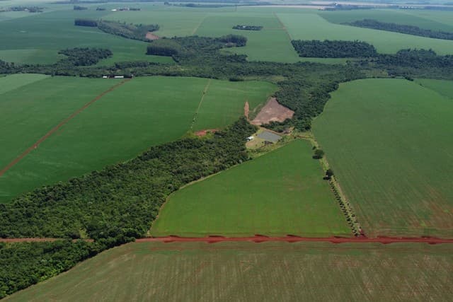 Vendo campo de 45 hectáreas mecanizado en Ciudad del Este