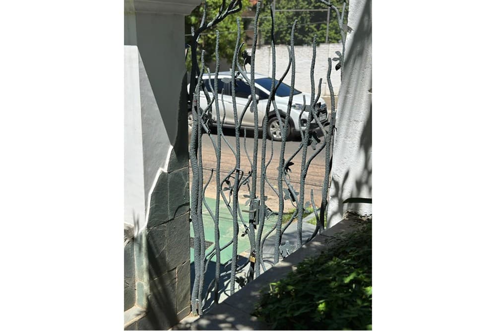 Casa-alquiler-san Rafael, Carmelitas, Asunción, foto 4