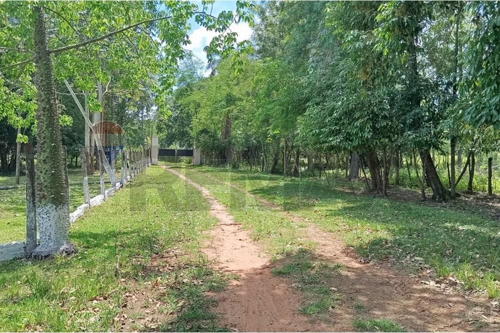 - terreno 3 hectareas - aregua, foto 4
